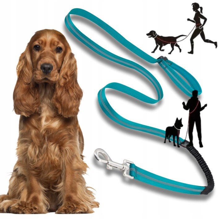 Vodítko pro psa s tlumičem Adventure pro běhání, tyrkysové, 1,8 cm M