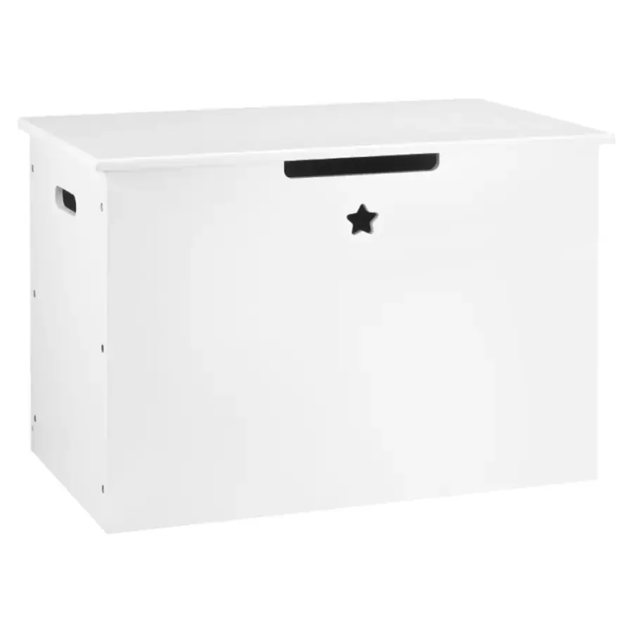 Tempo Kondela Úložný box na hračky BOLIS