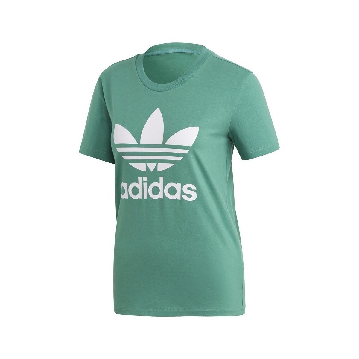 adidas  Trefoil Tee  Zelená