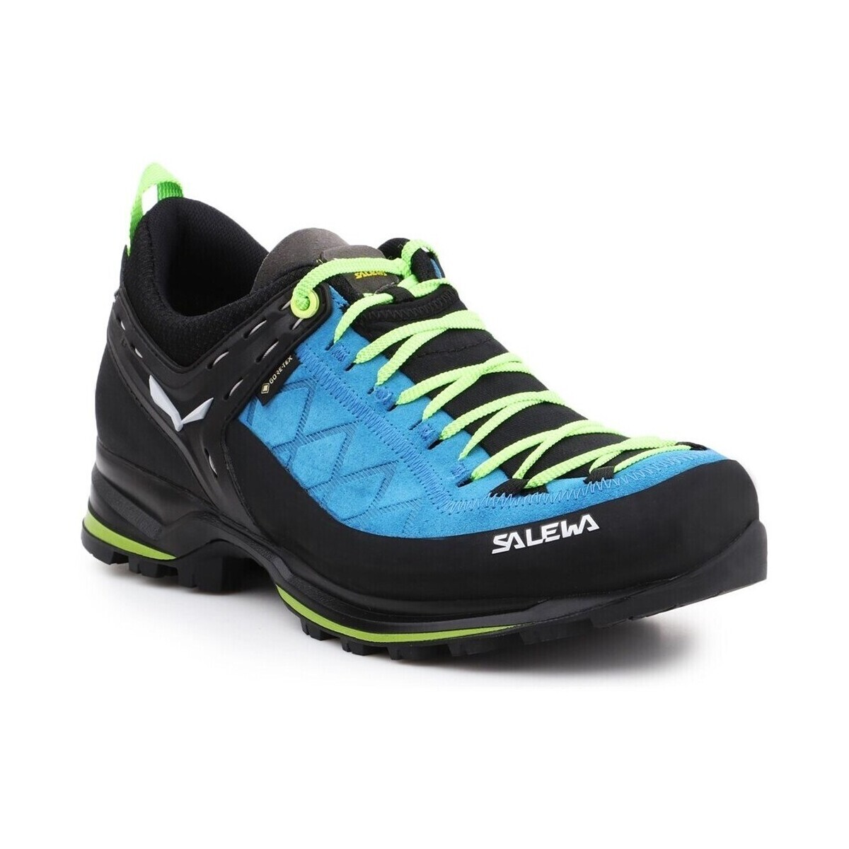 Salewa  MS Mtn Trainer 2 Gtx  ruznobarevne