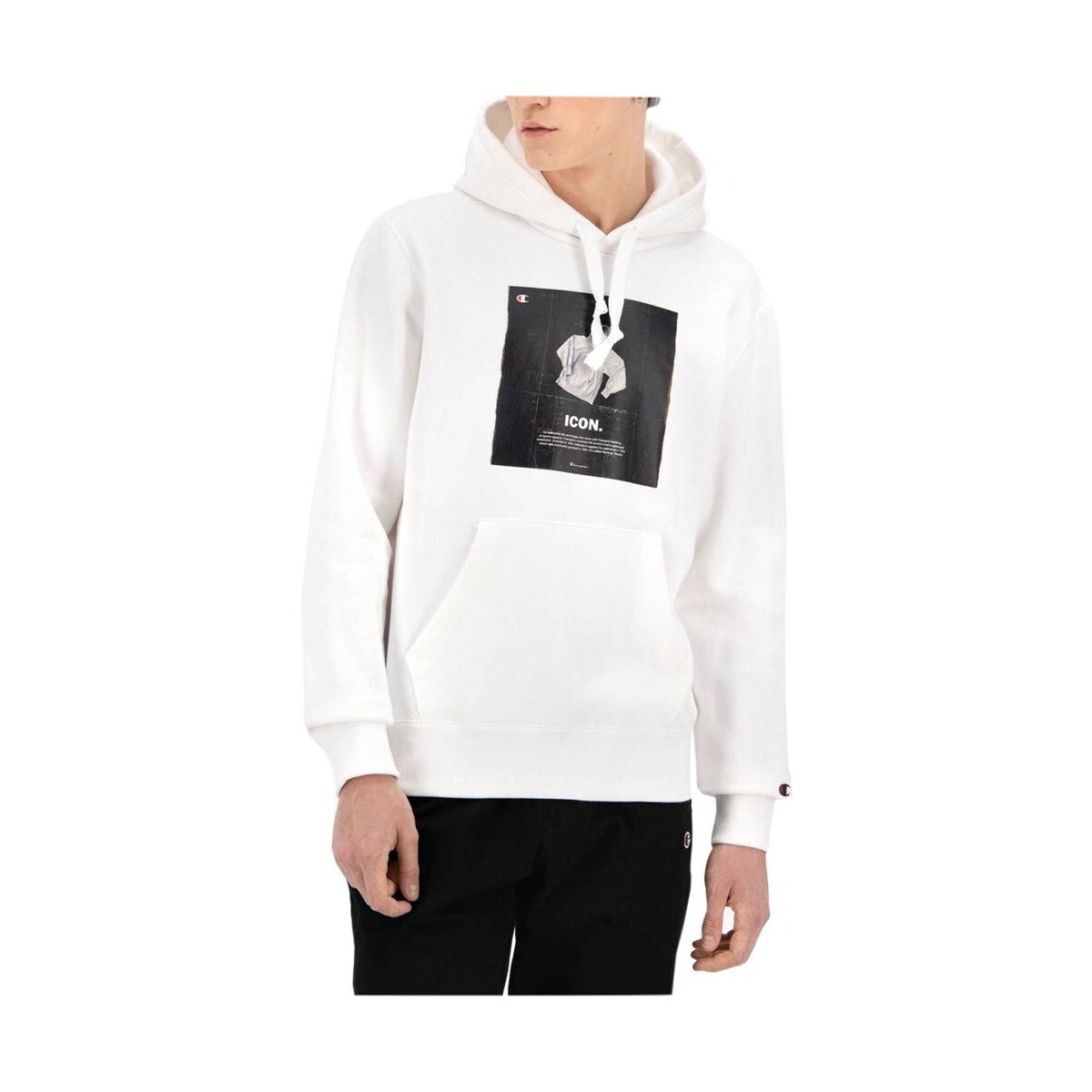 Champion  Icon Graphic Print Hoodie  ruznobarevne