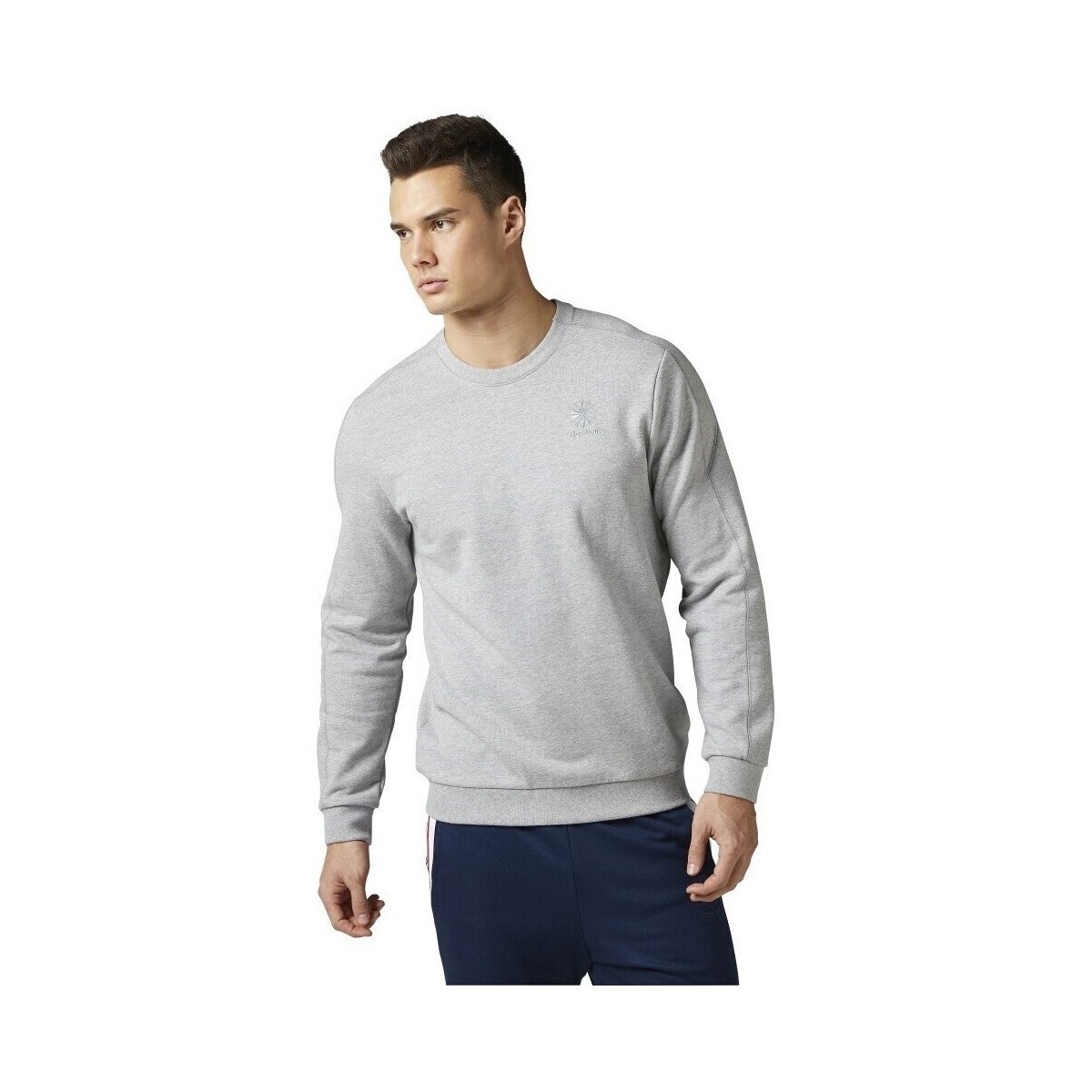 Reebok Sport  F Franchise FT Crew  Šedá