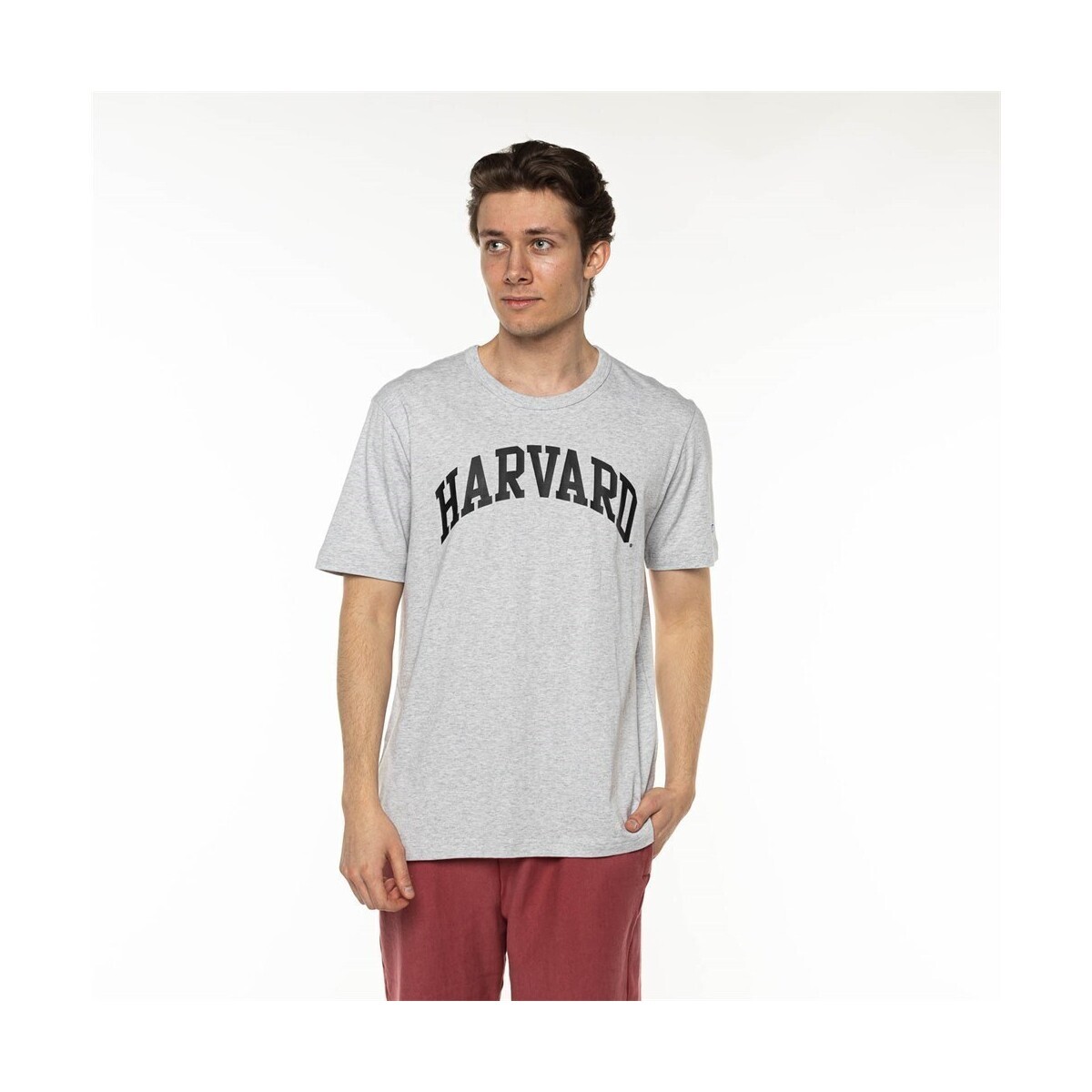 Champion  Harvard  Bílá