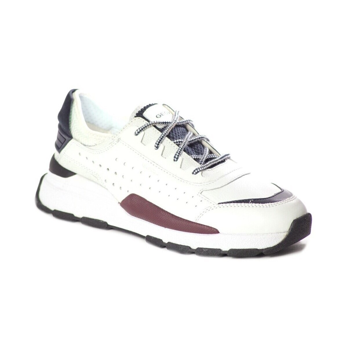Geox  U Regale  Bílá