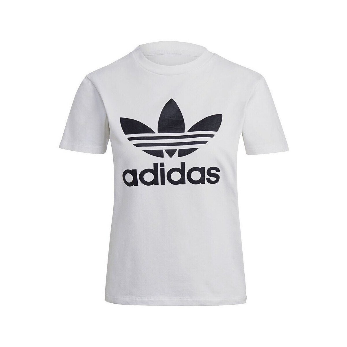 adidas  Trefoil Tee  Bílá