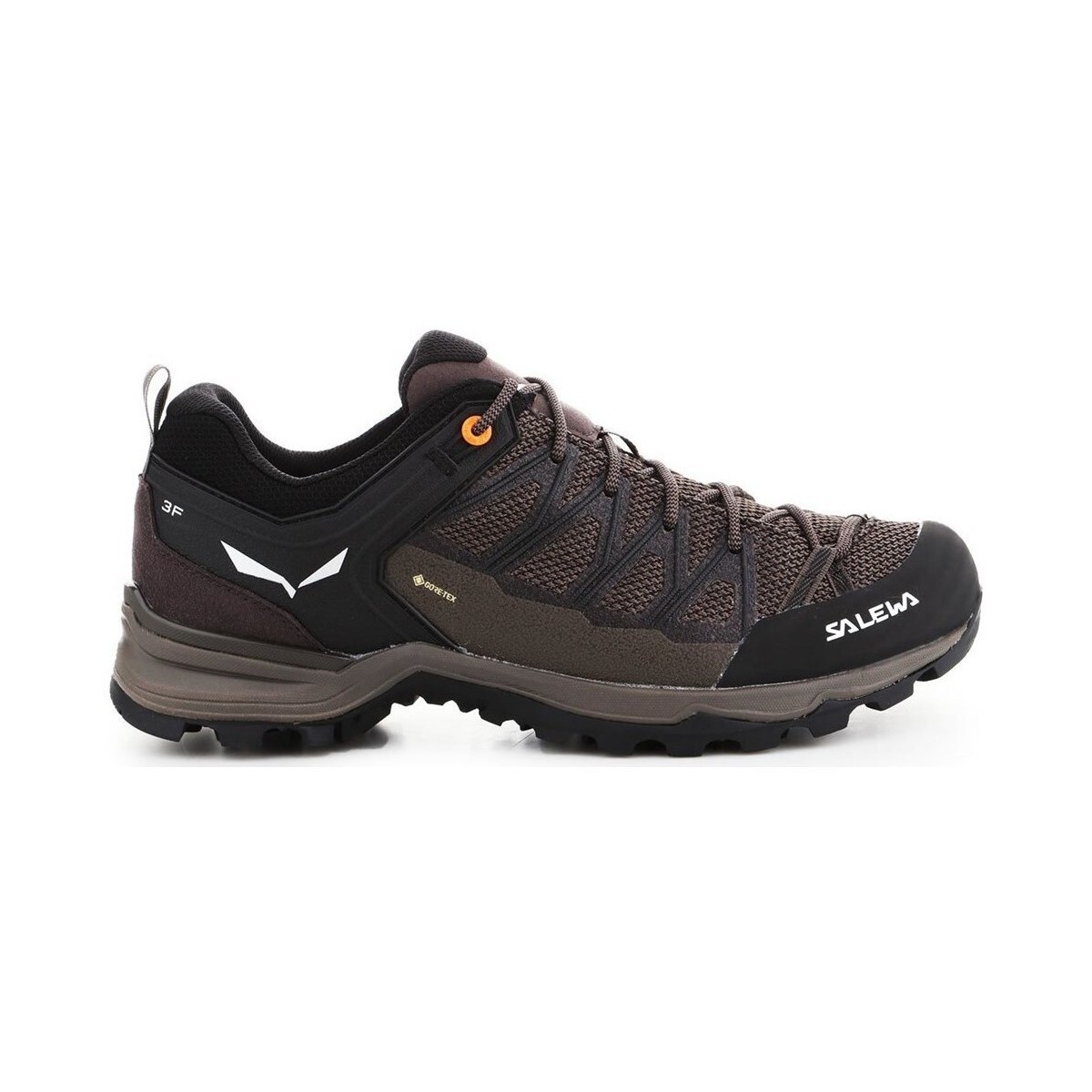 Salewa  Mtn Trainer Lite Gtx  ruznobarevne