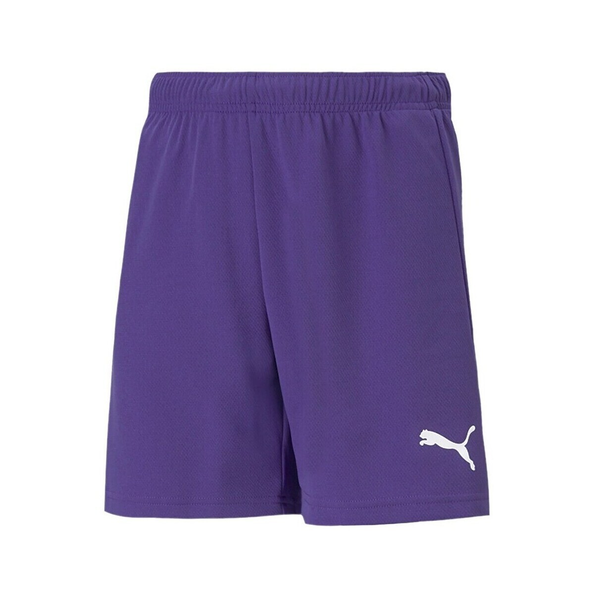 Puma  Teamrise  Fialová