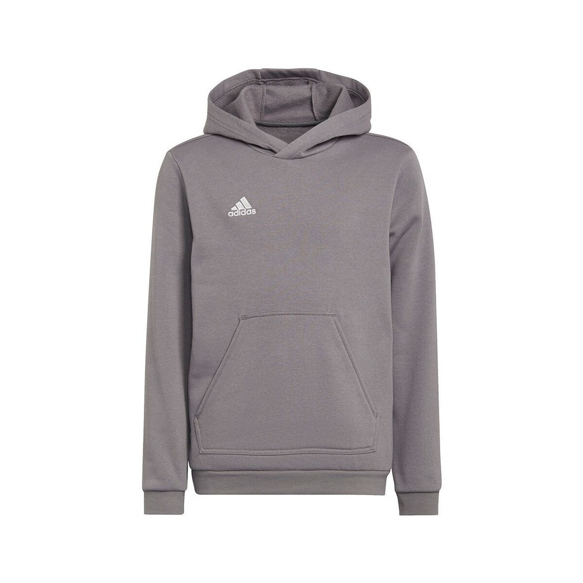 adidas  Entrada 22 Hoody  Šedá