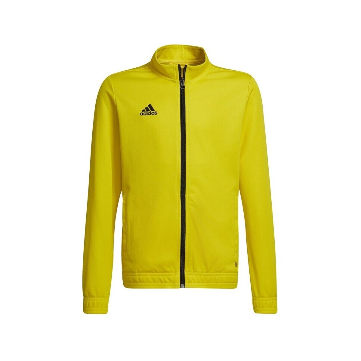 adidas  Entrada 22  Žlutá