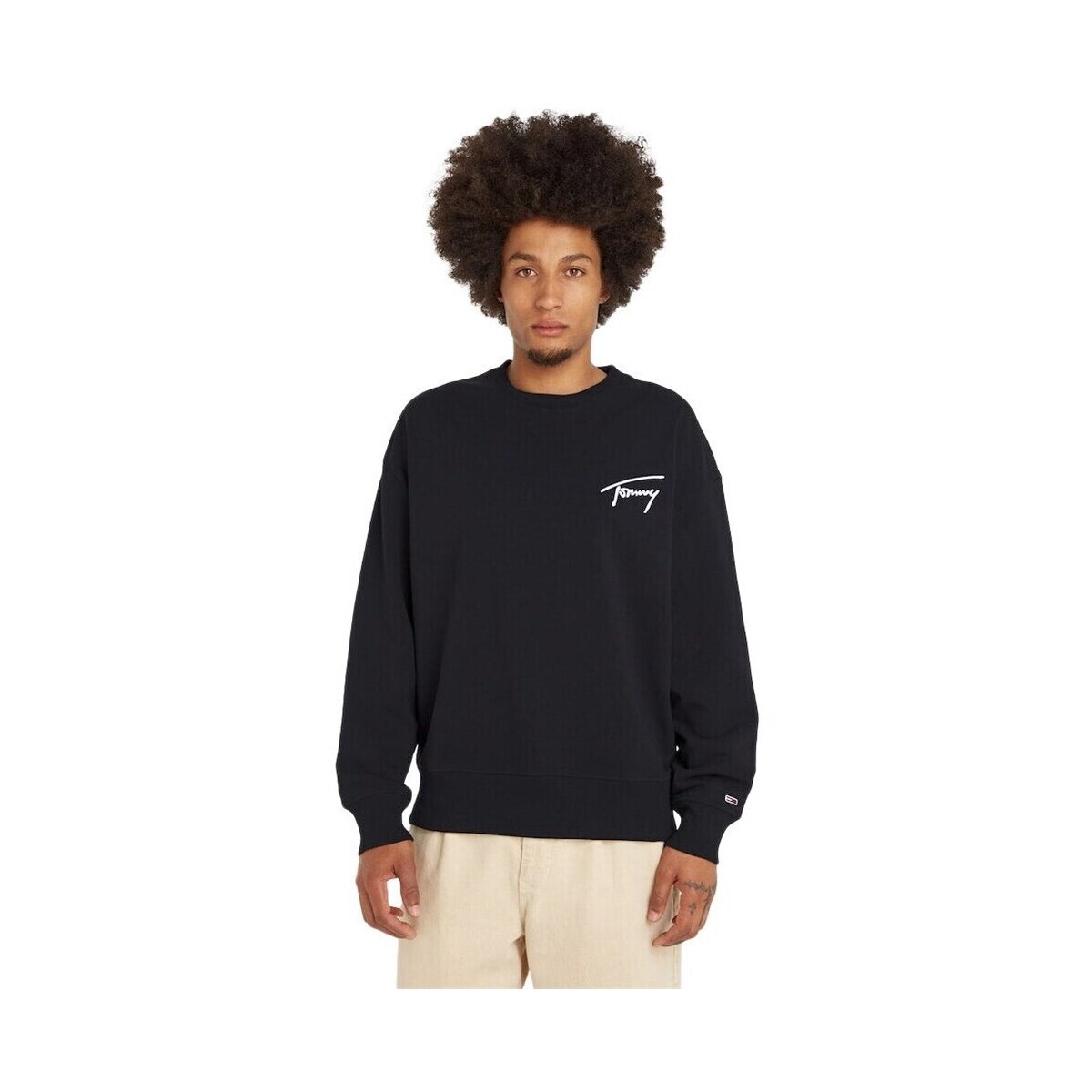 Tommy Hilfiger  DM0DM15206BDS  Černá