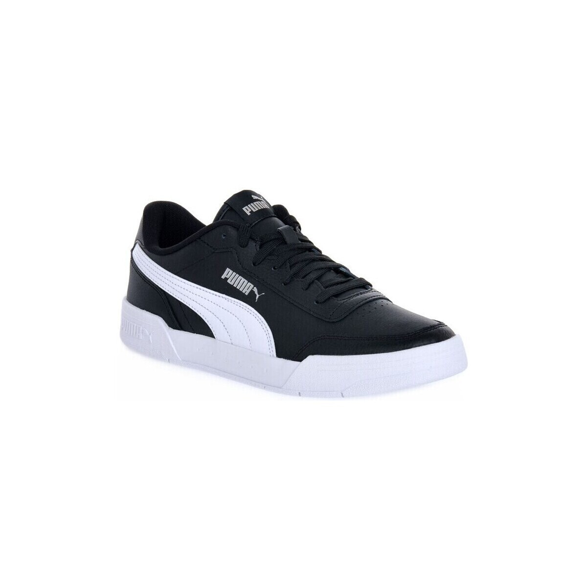 Puma  Caracal  ruznobarevne