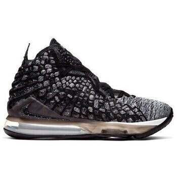 Nike Lebron Xvii ruznobarevne