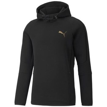 Puma  Evostripe Hoodie  Černá