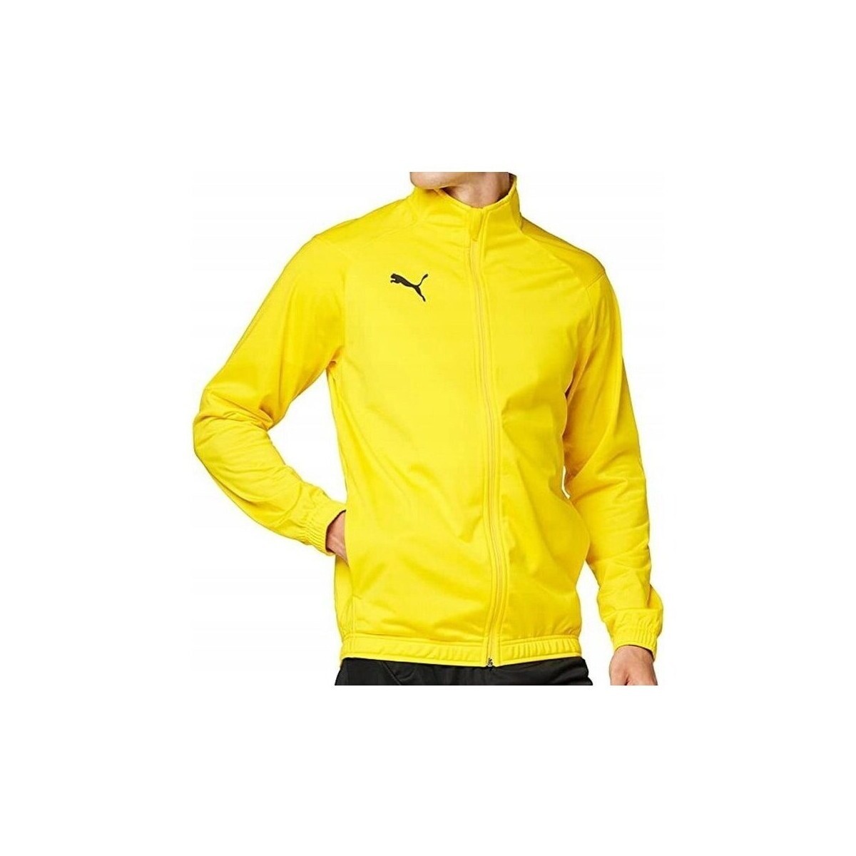 Puma  Liga Sideline Poly  Žlutá