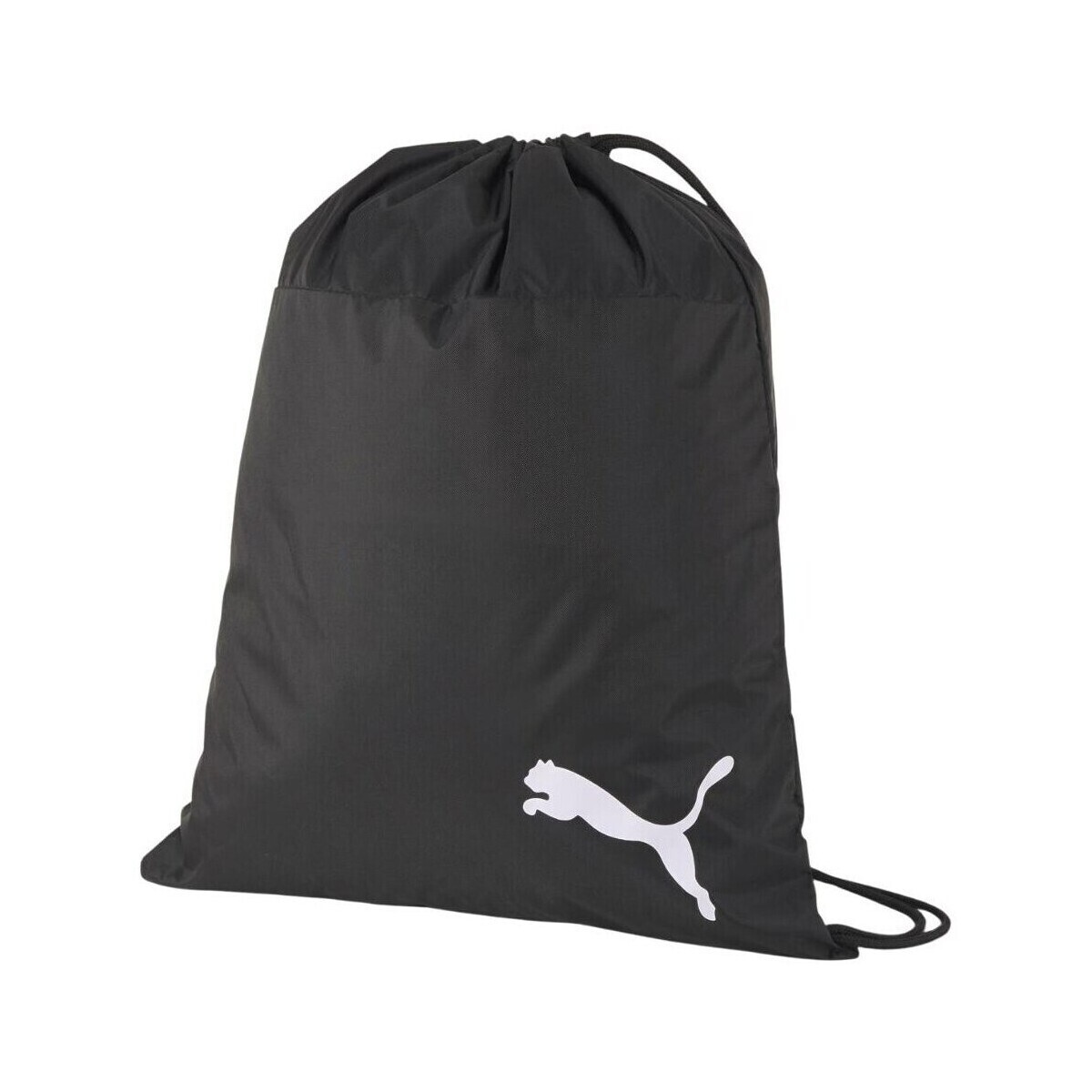 Puma  Teamgoal 23  Černá