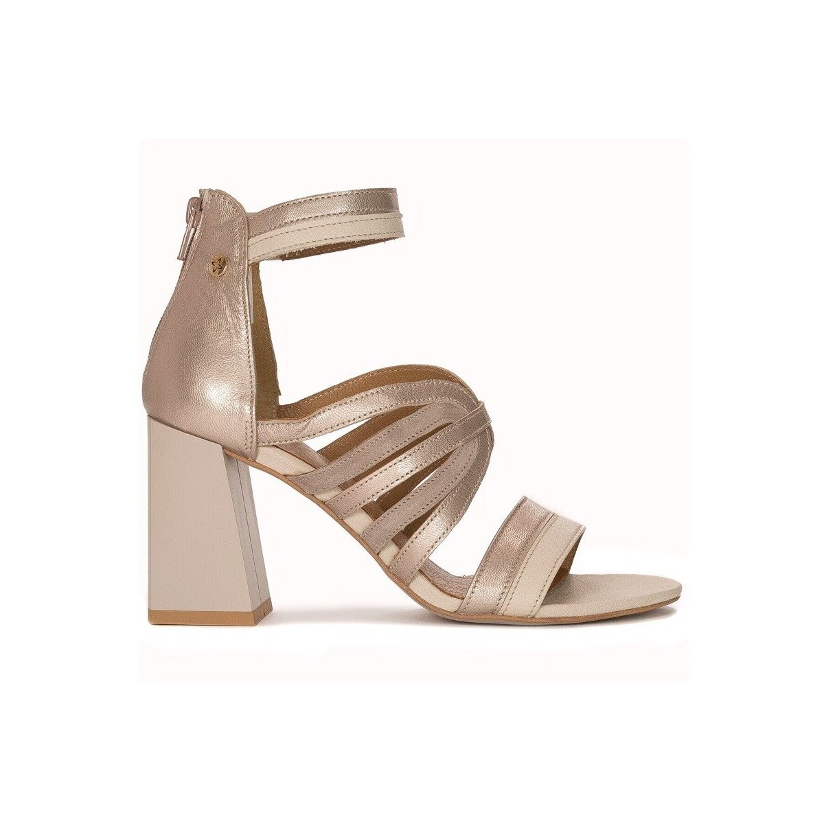 Maciejka  0551404001  ruznobarevne