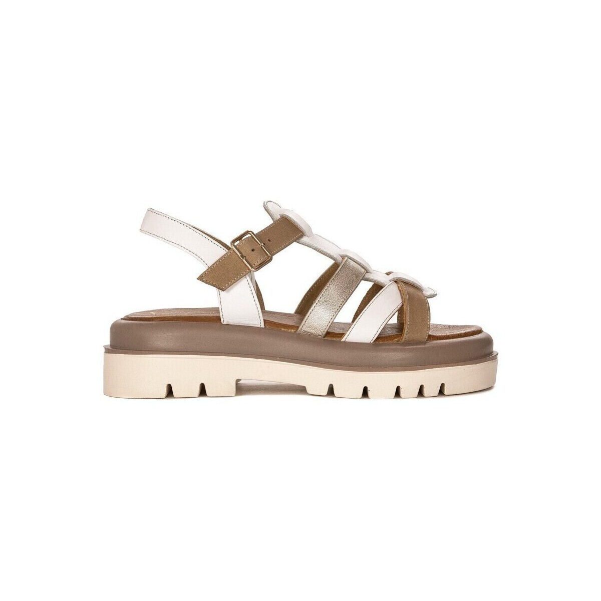 Maciejka  0610111005  Hnědá