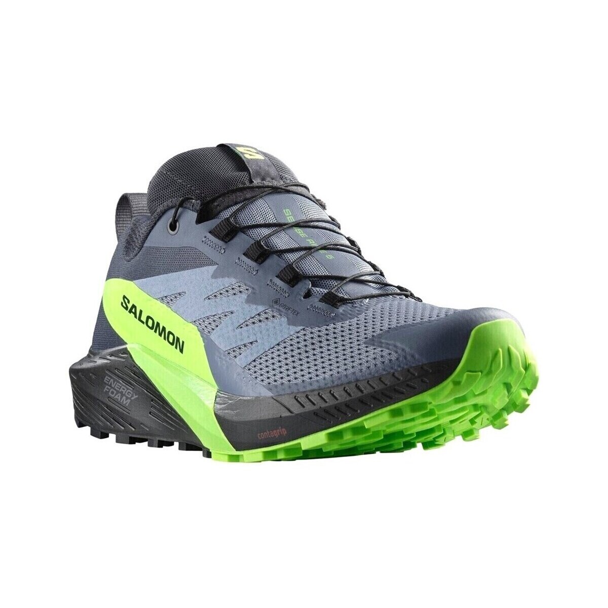 Salomon  Sense Ride 5 Gtx  ruznobarevne
