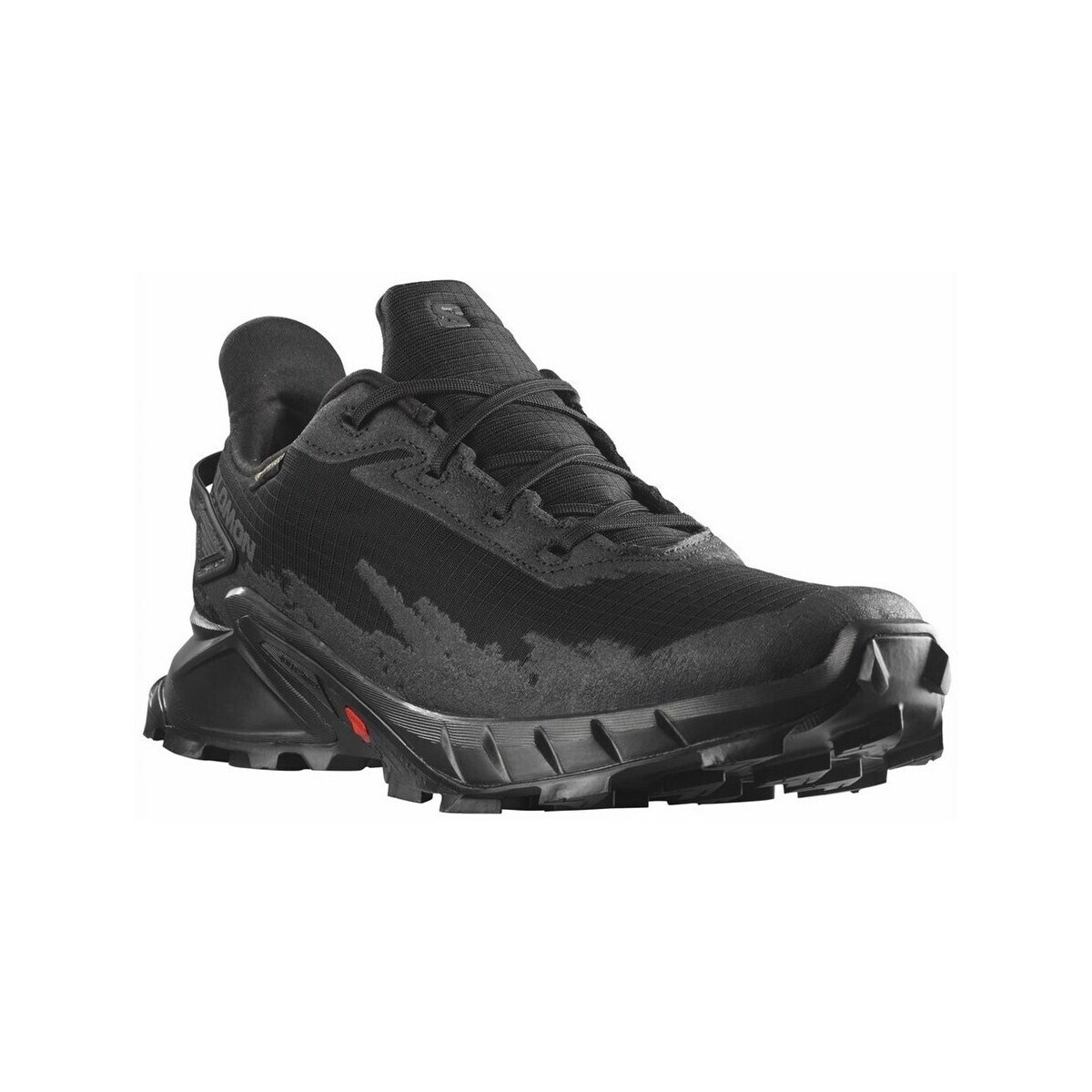 Salomon  Alphacross 4 Gtx  Černá