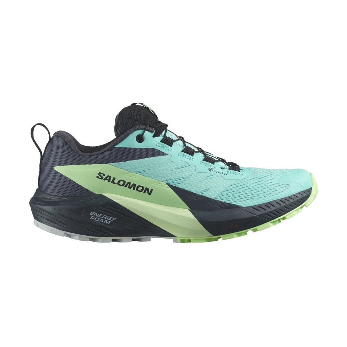 Salomon  Sense Ride 5 Gtx  Modrá