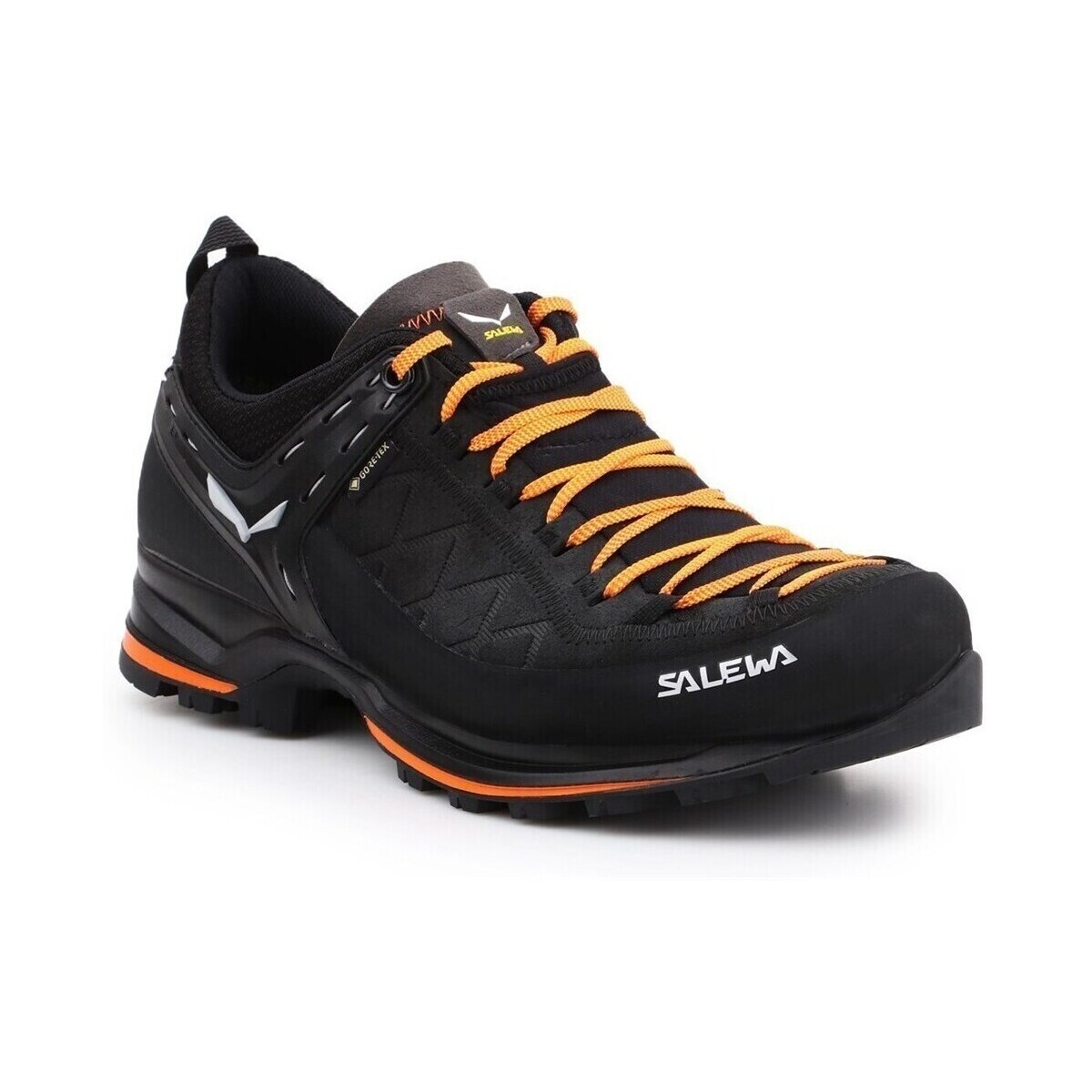 Salewa  Buty Męskie MS Mtn Trainer 2 Gtx  Černá