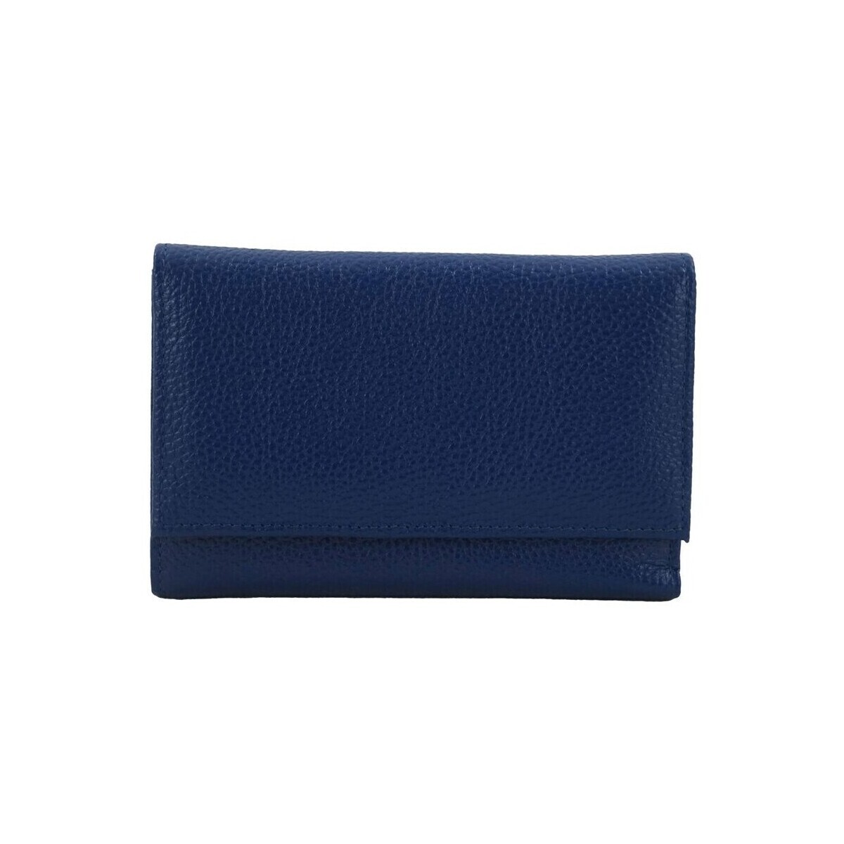 Barberini's  D108941  Modrá