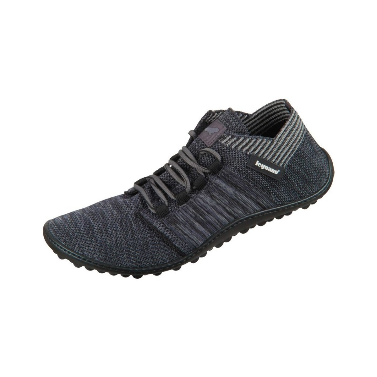 Leguano  Beat  ruznobarevne