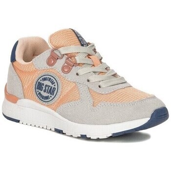 Big Star  HH374180  ruznobarevne