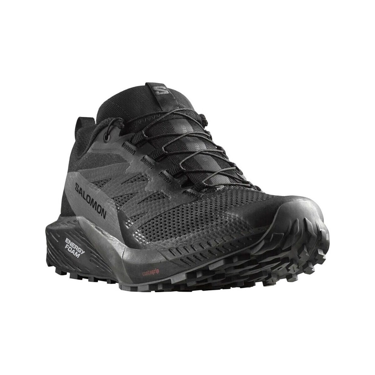 Salomon  Sense Ride 5 Gtx  Černá
