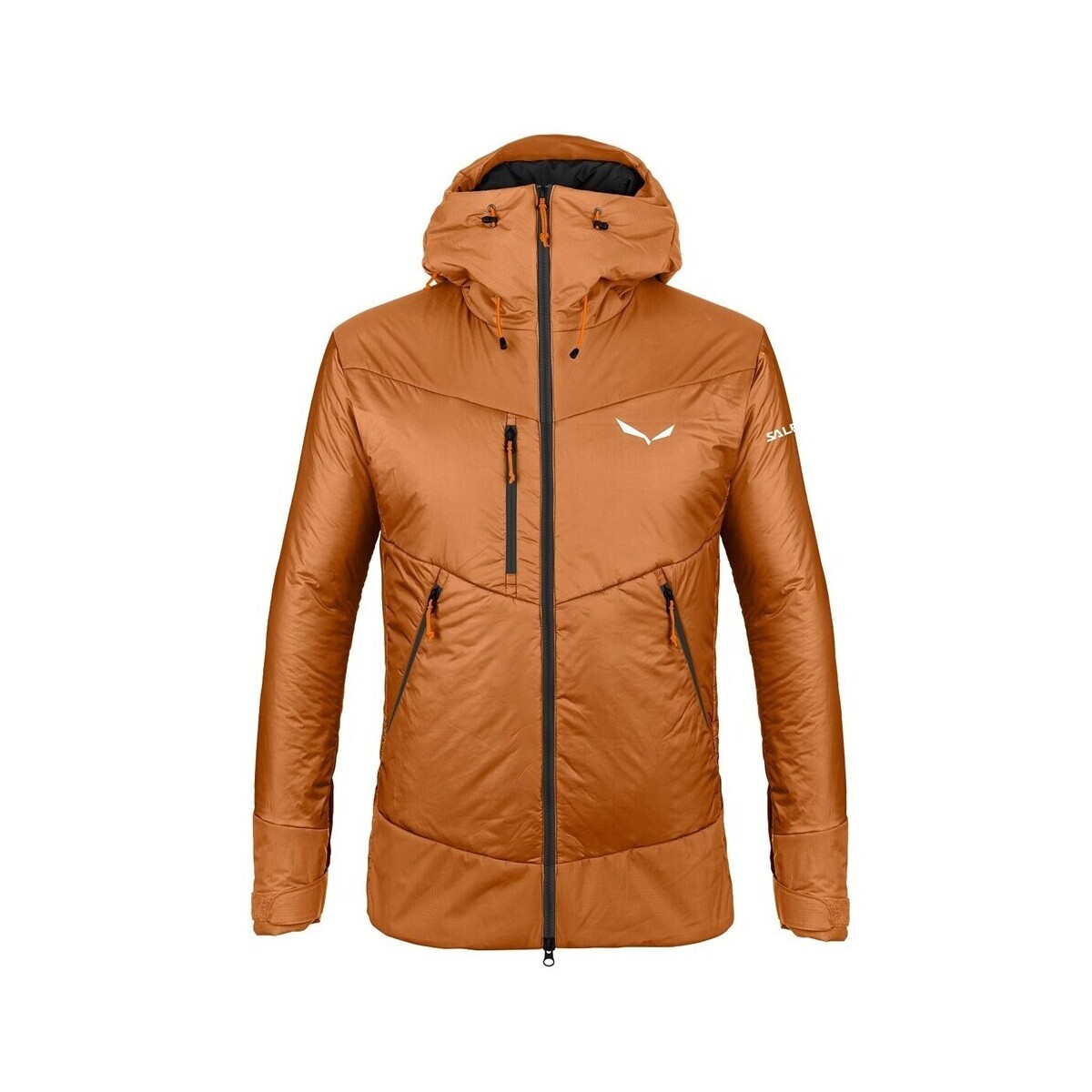 Salewa  Isolations winterjacke Ortles 2 Twr  Hnědá