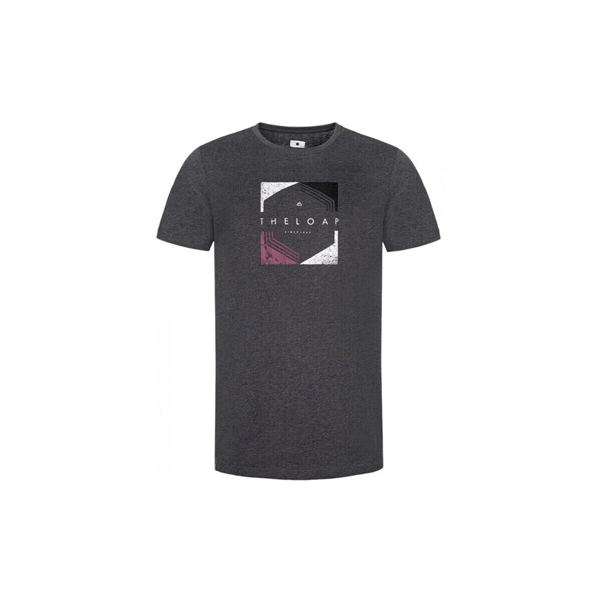 Loap  CLM2084V02XV  Šedá