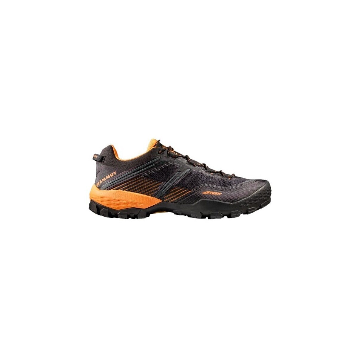 Mammut  Ducan Ii Low Gtx  Černá