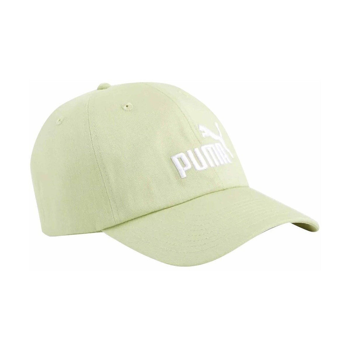 Puma  Ess No.1 Bb  Zelená