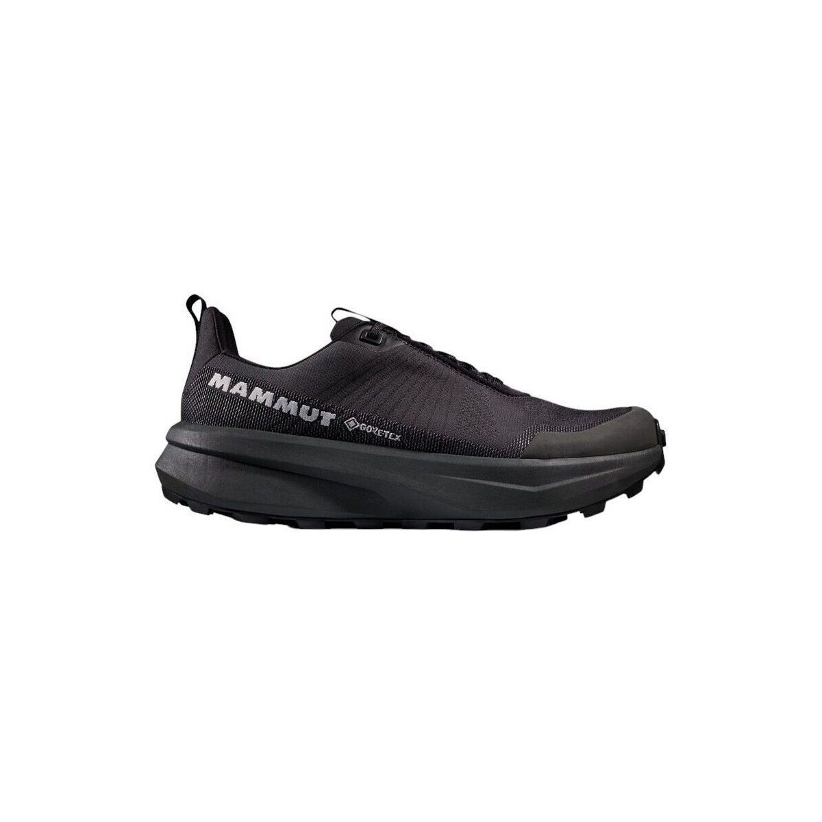 Mammut  Aenergy Mtn Low Gtx  Černá