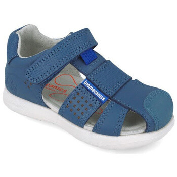 Biomecanics  Bioevolution  Modrá