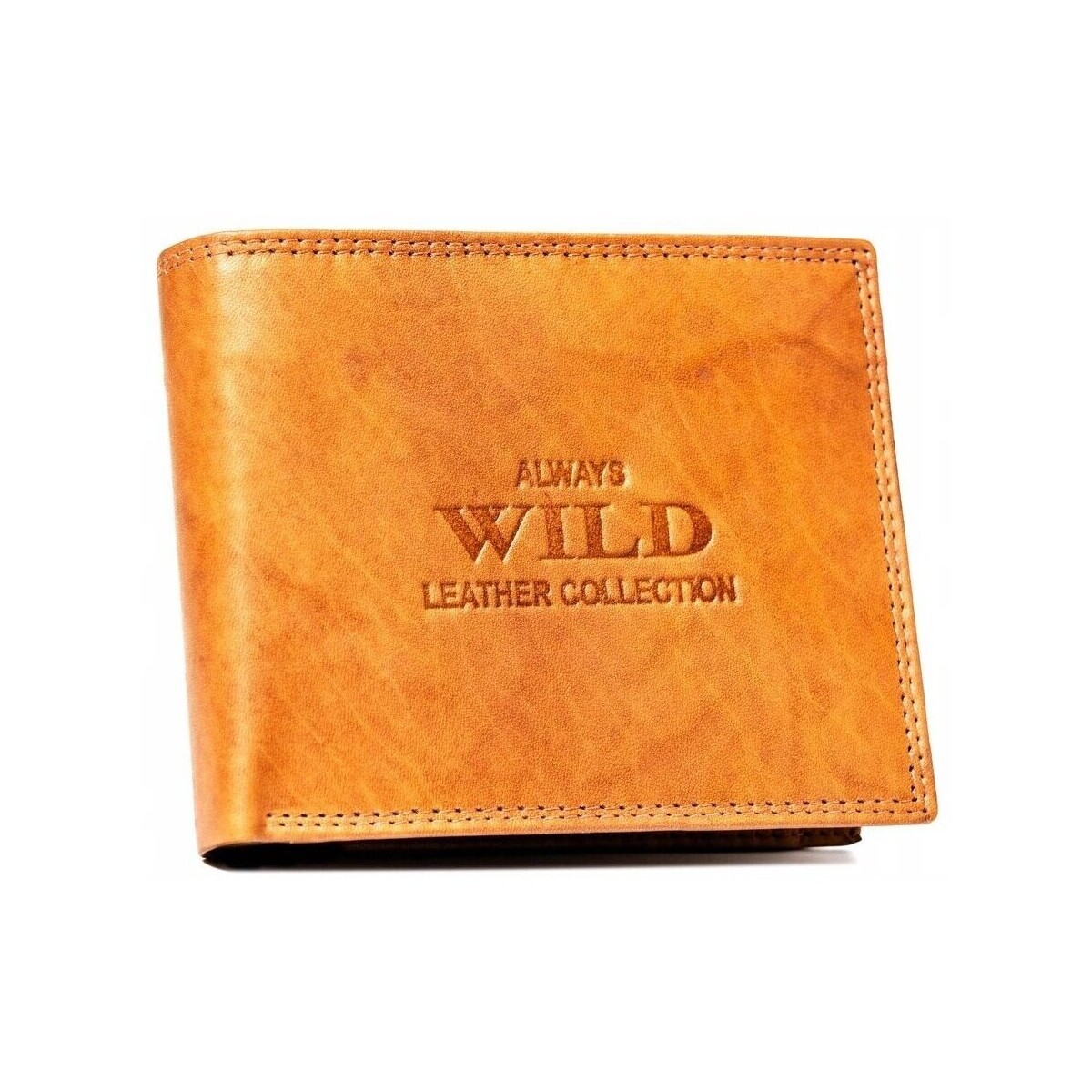 Always Wild  AWN7MAL73676  ruznobarevne