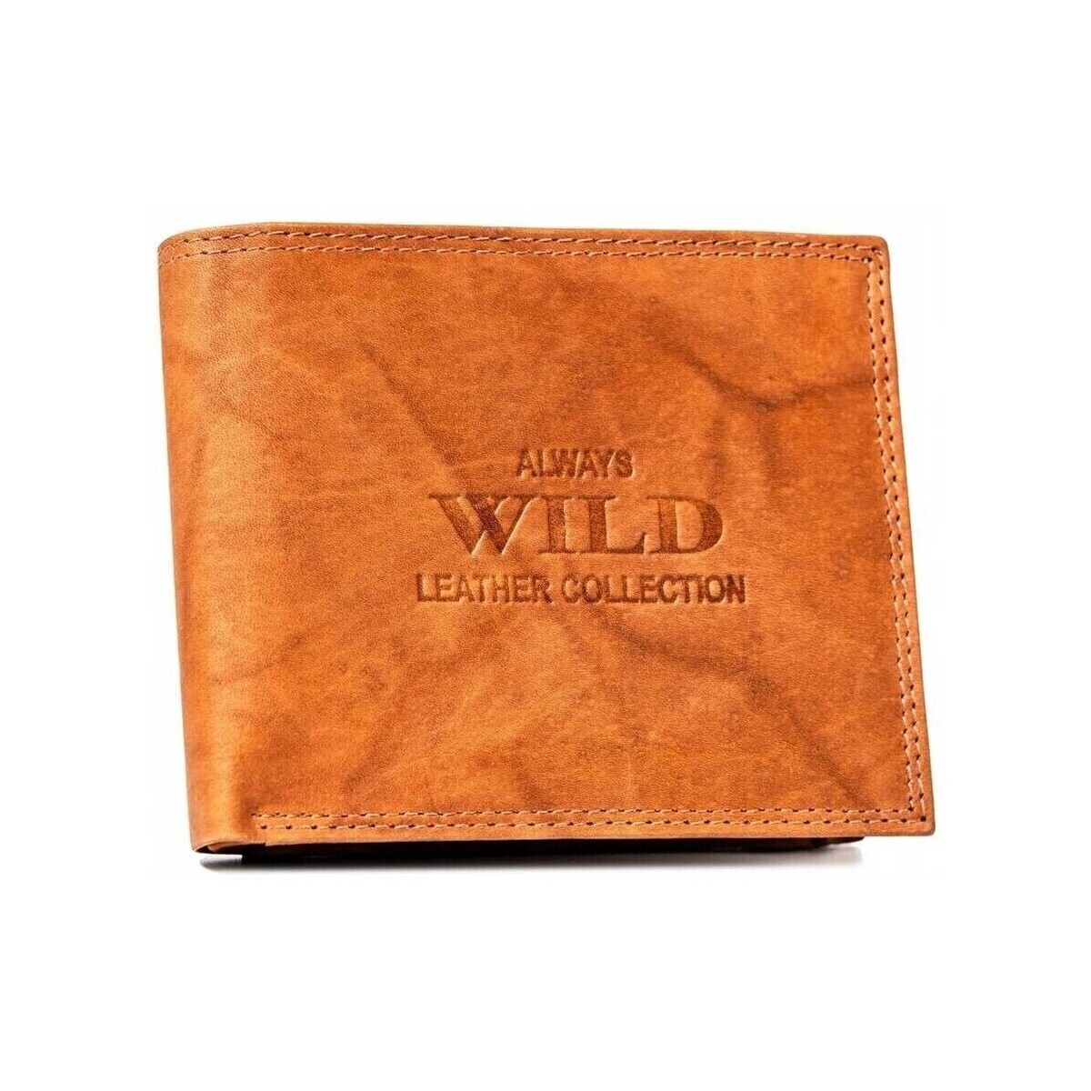 Always Wild  AWN5MAL73656  ruznobarevne