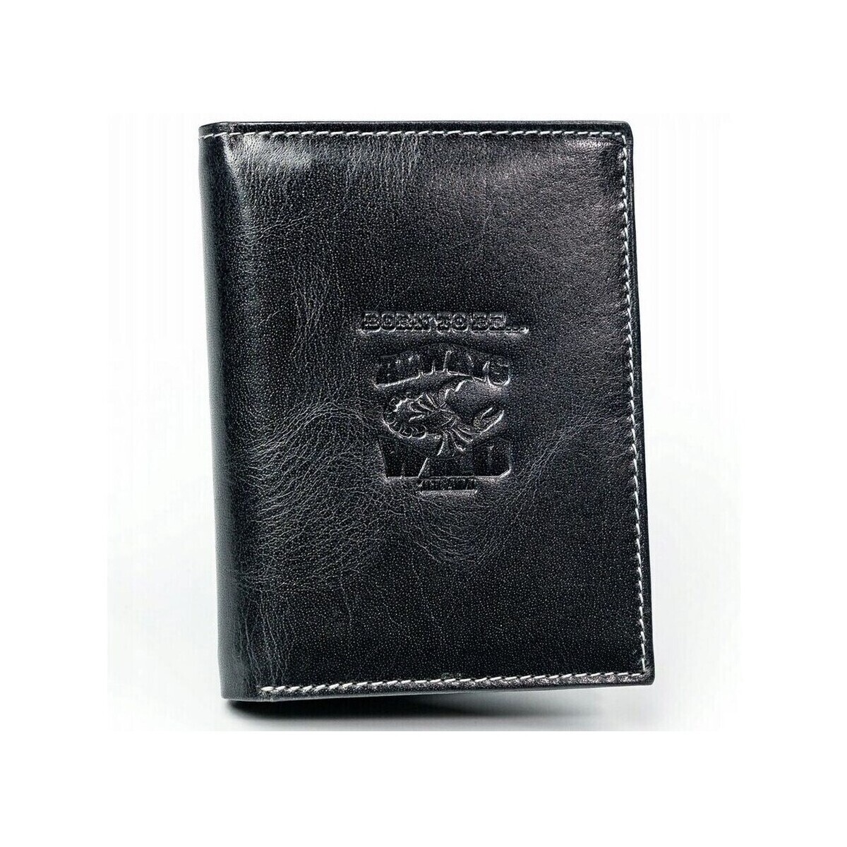 Always Wild  N4BC73933  ruznobarevne