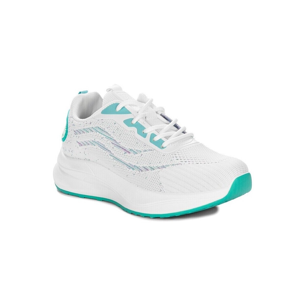 Big Star  RR274524  ruznobarevne