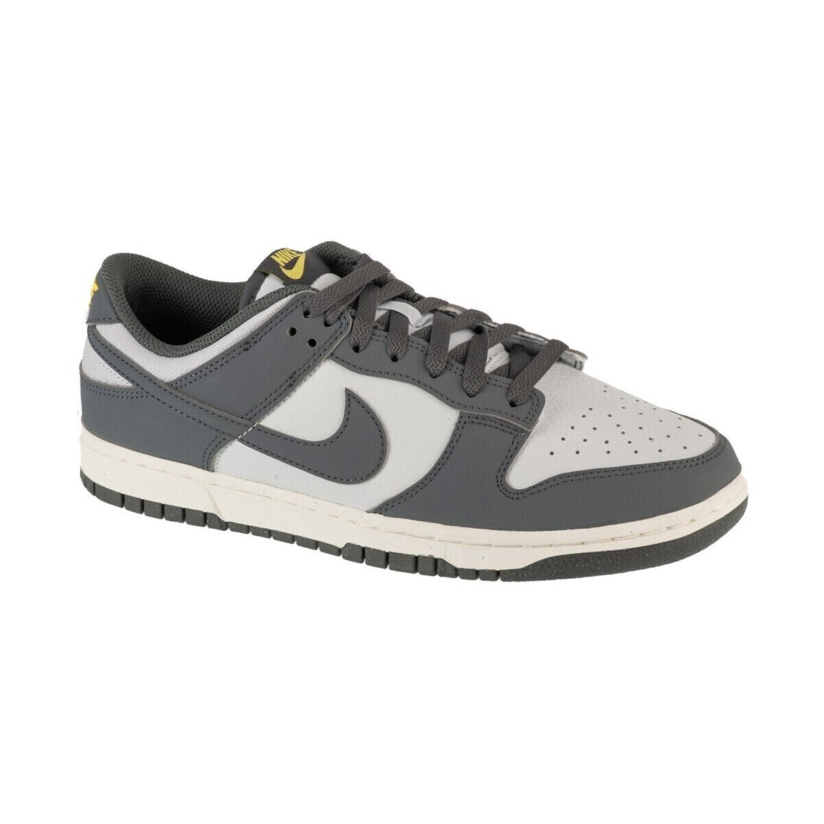 Nike  Dunk  ruznobarevne