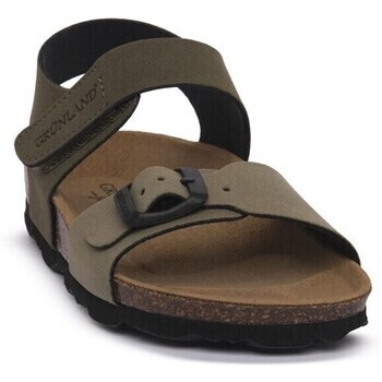 Grunland  SB2408SALVIA  ruznobarevne