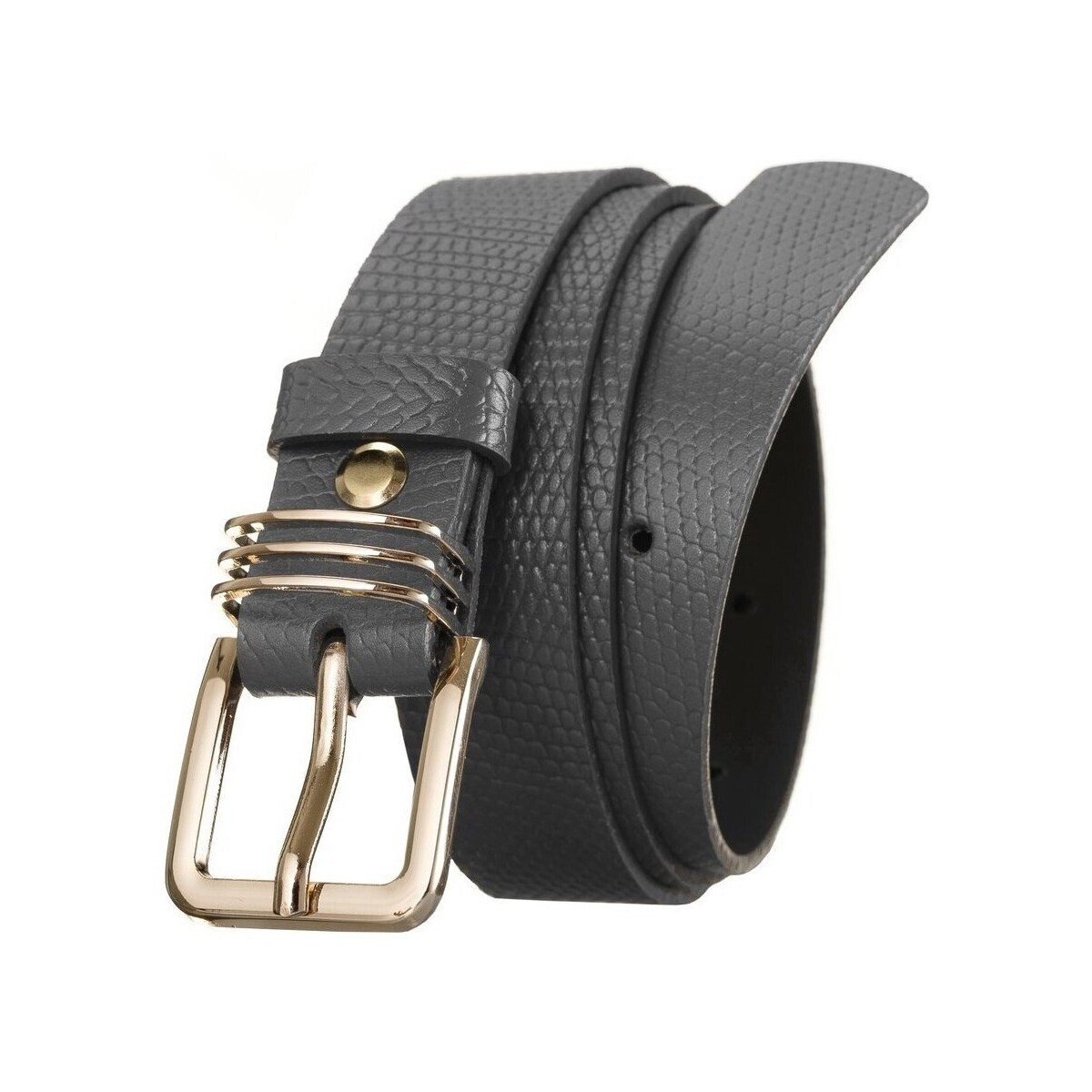 Rovicky  rovicky12083v  ruznobarevne