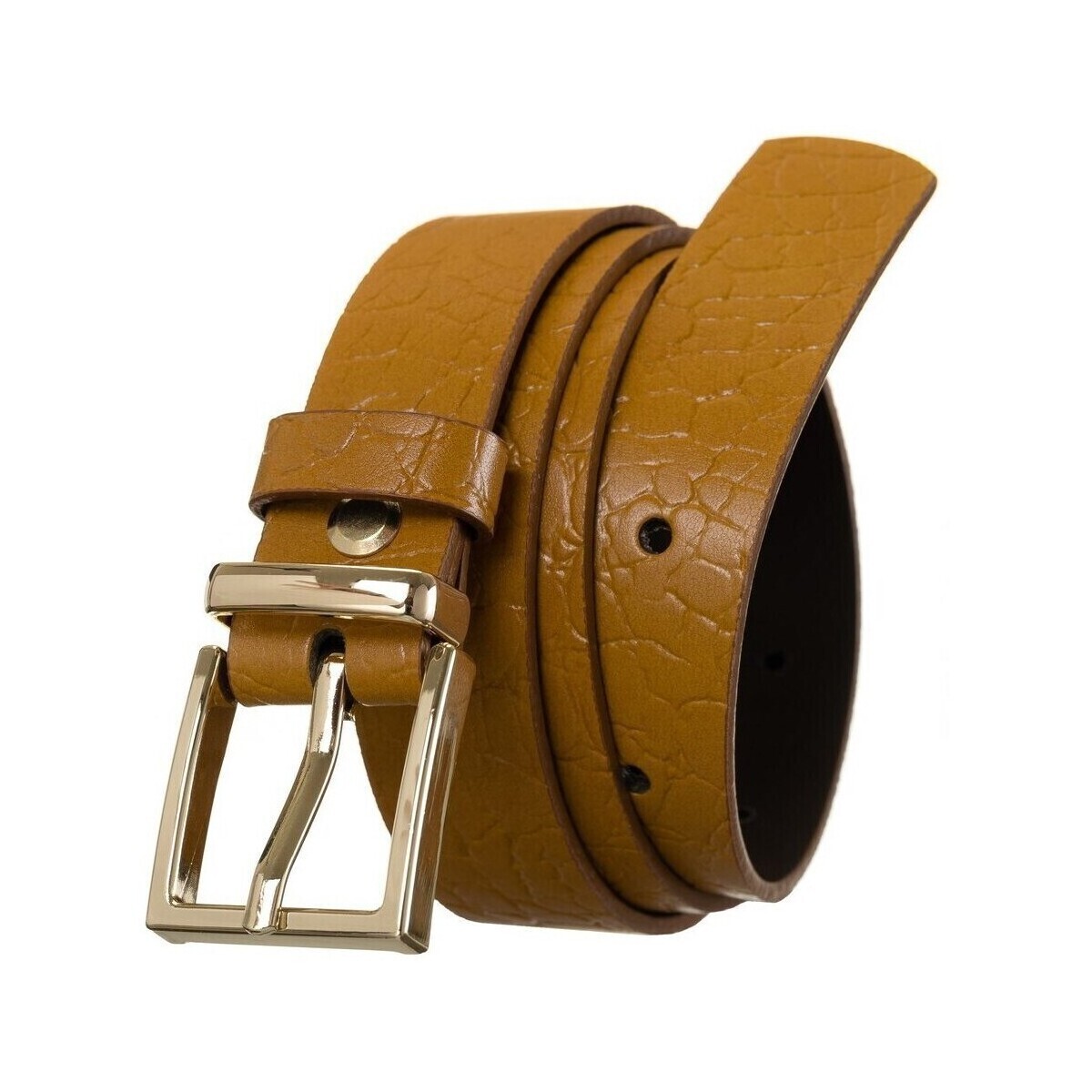 Rovicky  rovicky1216833  ruznobarevne