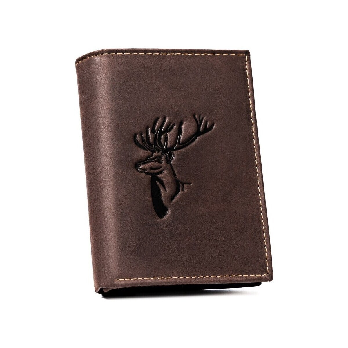 Always Wild  rovicky223260  ruznobarevne