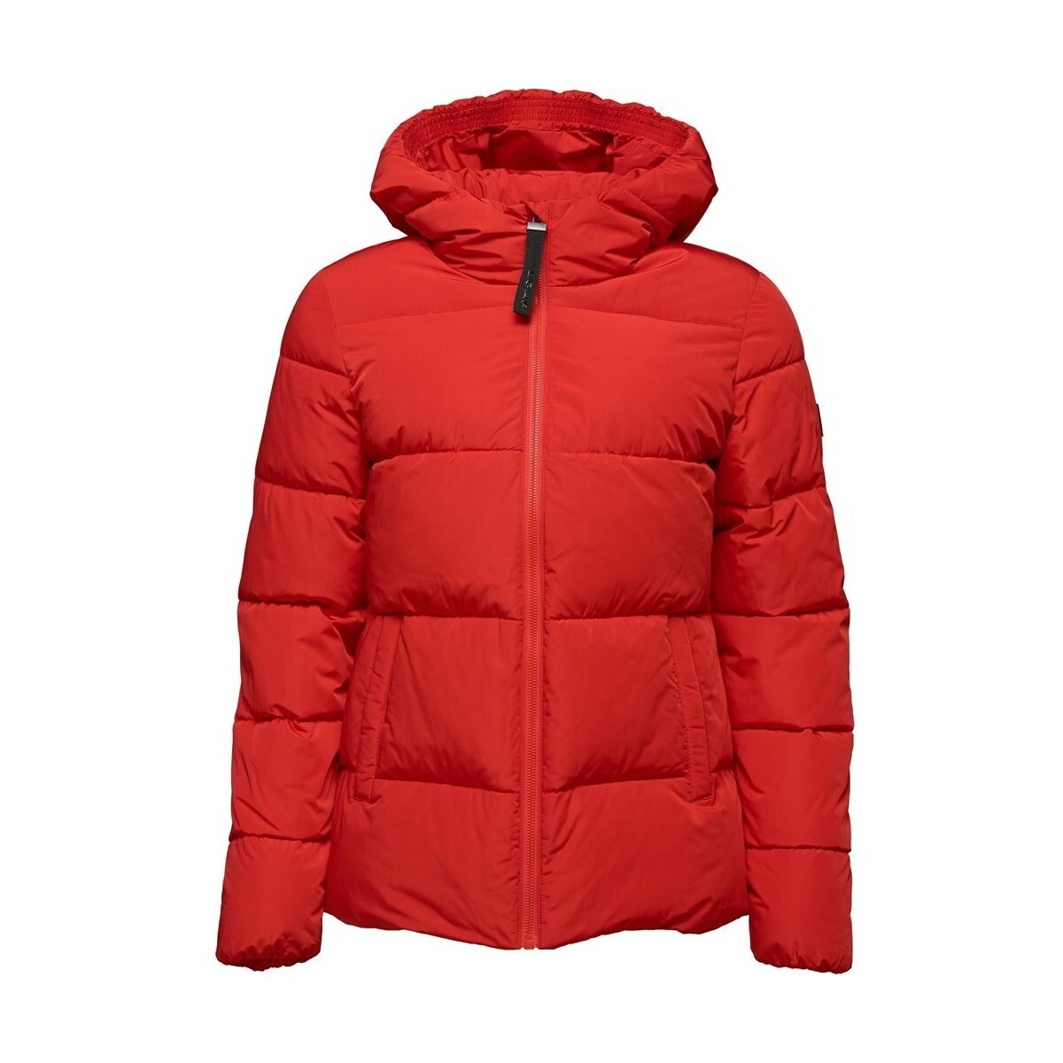 Loap  Tadarida  Červená