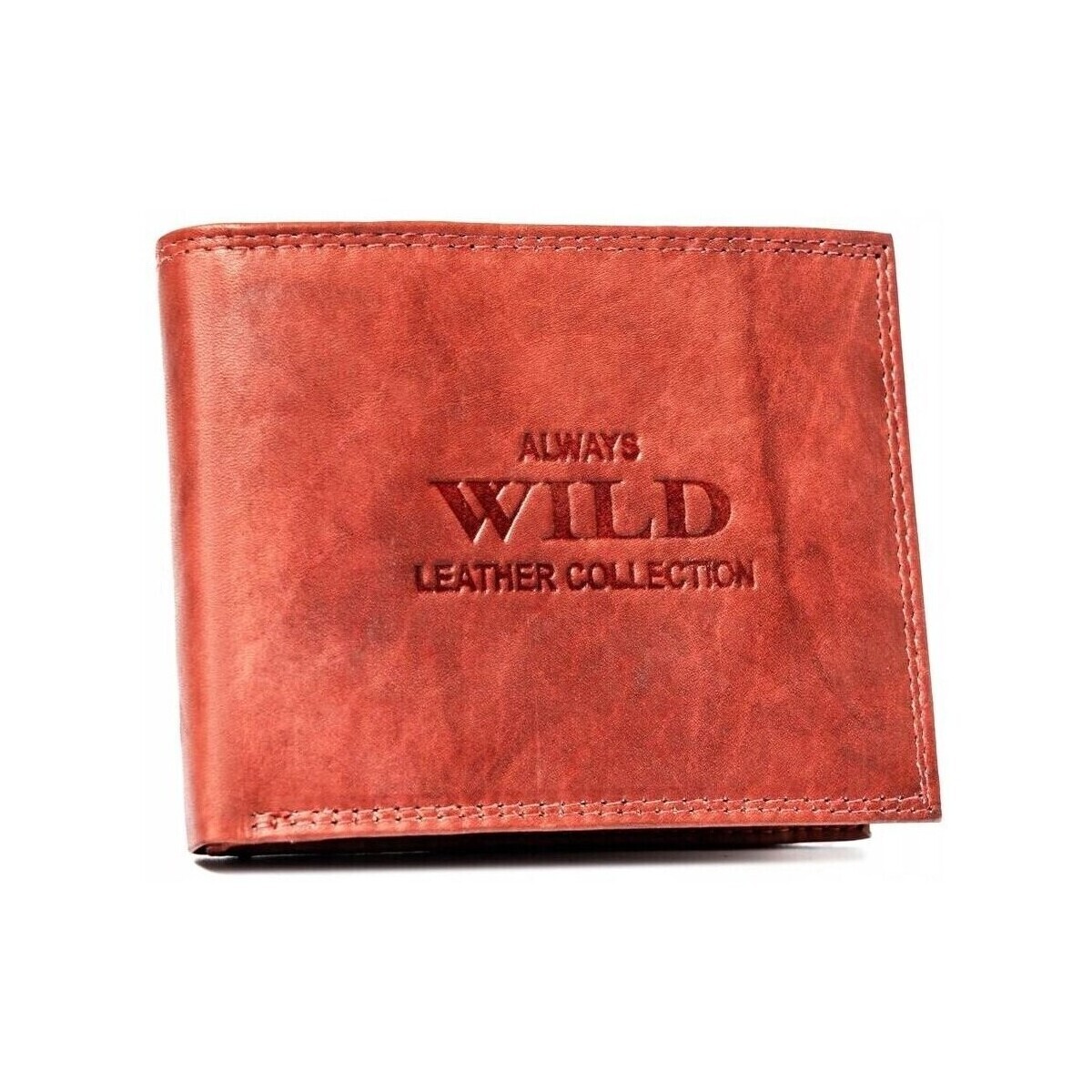 Always Wild  AWN6MAL73687  ruznobarevne