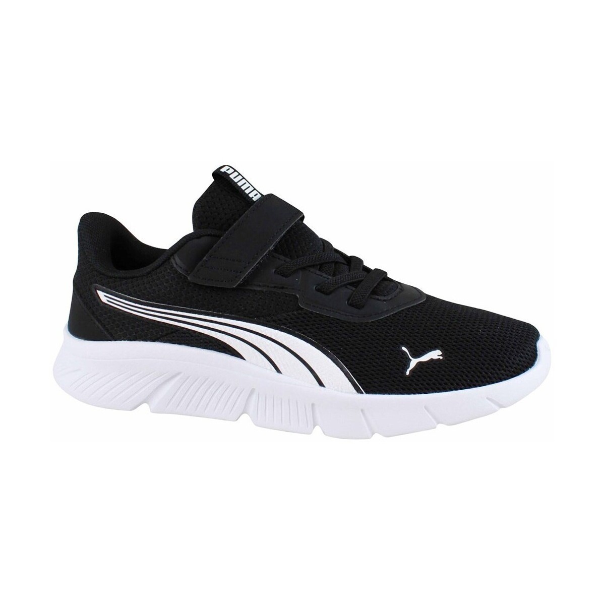 Puma  Flexfocus Modern Ac+ Ps  ruznobarevne