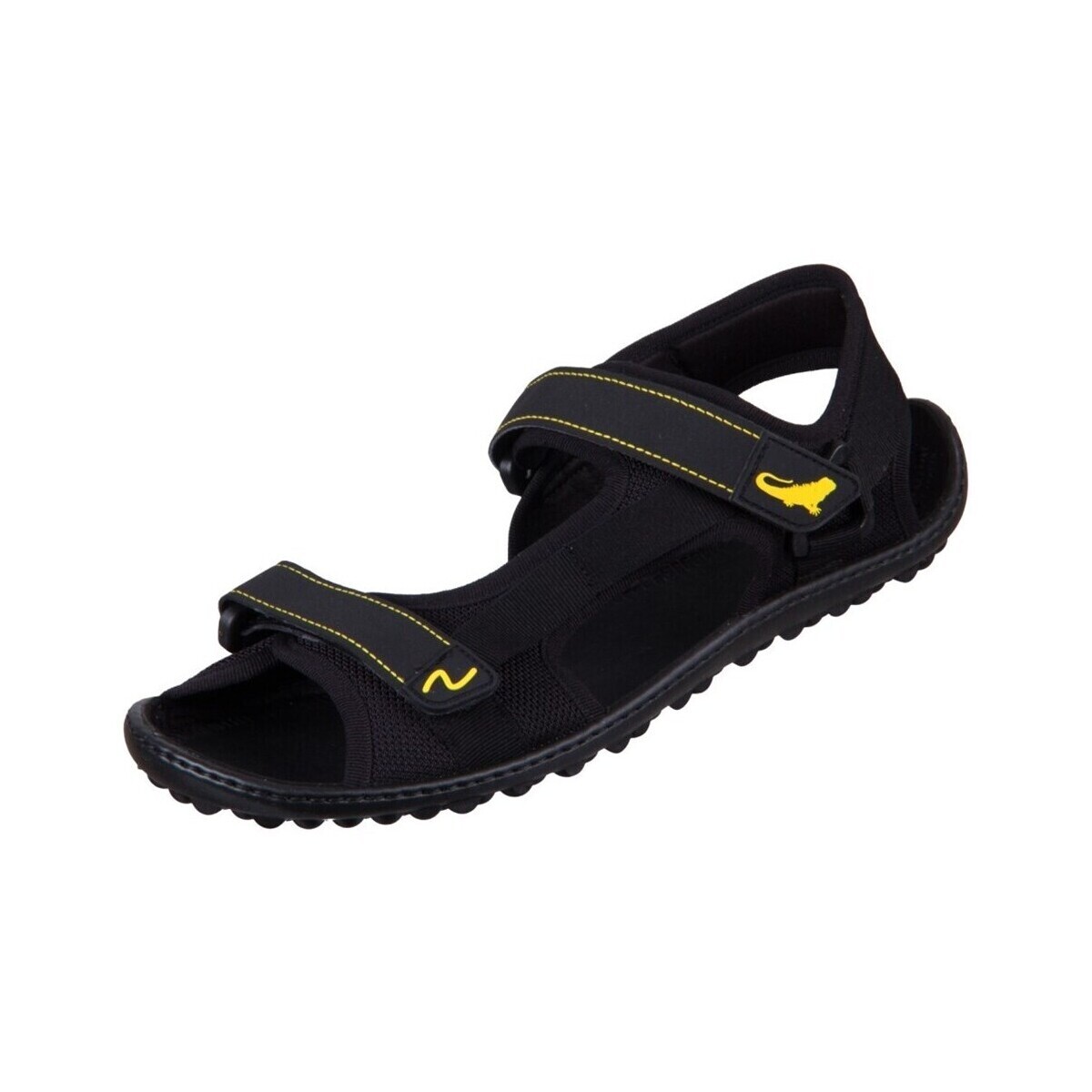 Leguano  10071010attrekktive  ruznobarevne