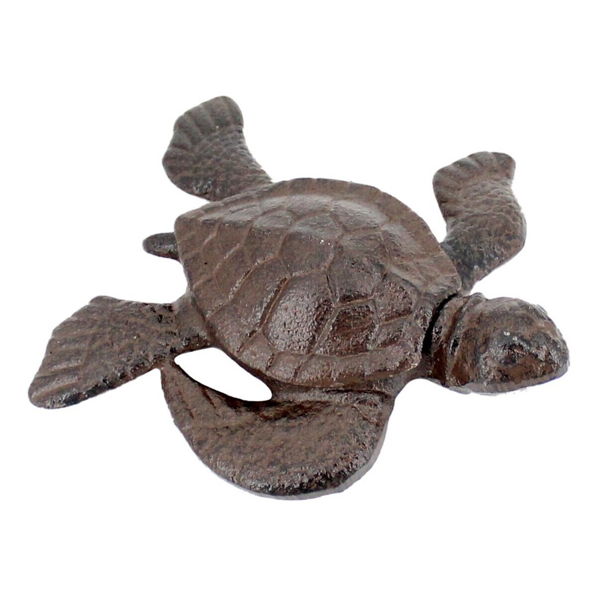 Signes Grimalt  Želví Schránka  Hnědá