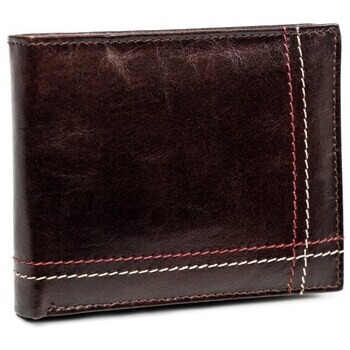 Always Wild  N015VTKD4992  ruznobarevne